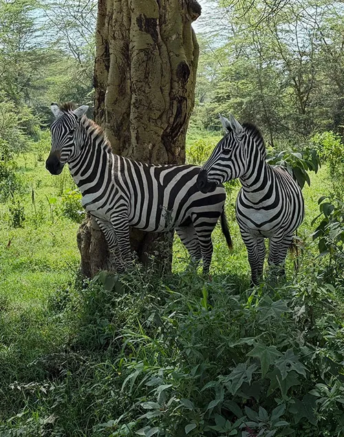 Nakuru