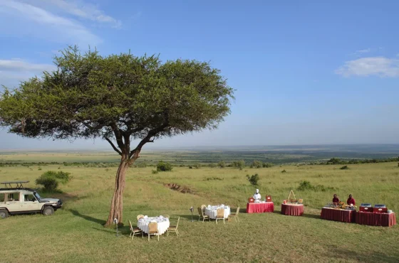 Experiential Dining