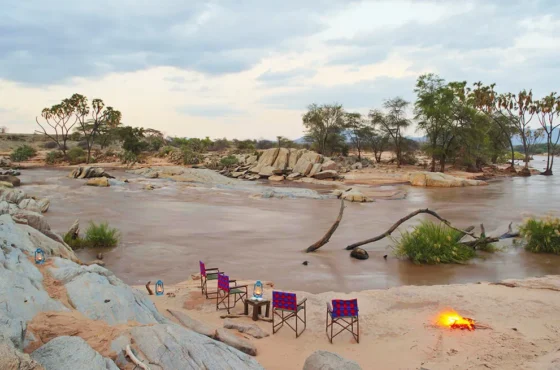 Experiential Dining