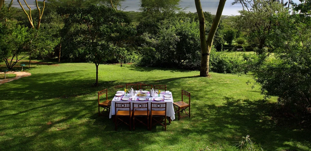 Experiential Dining