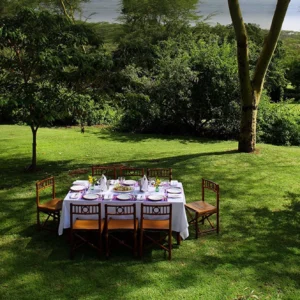 Experiential Dining
