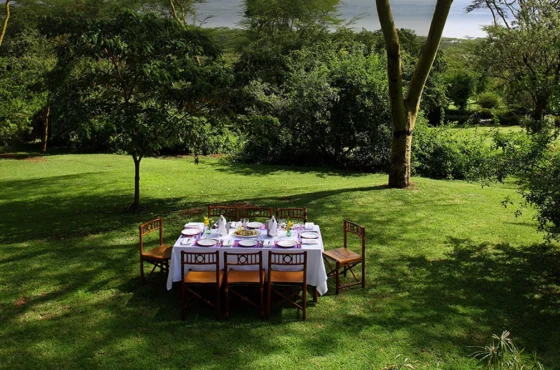 Experiential Dining