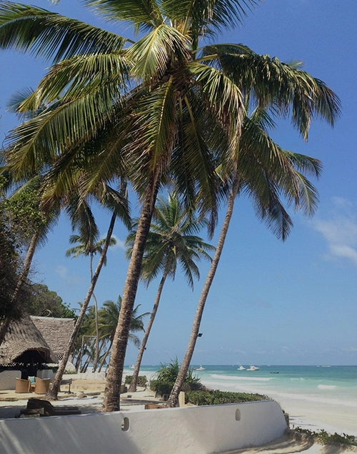 Diani