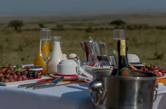 Bush Dining | Sarova Woodlands Hotel & Spa