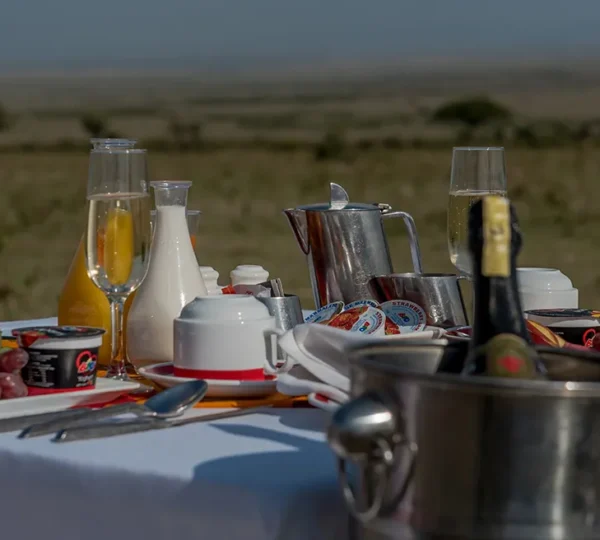 Bush Dining | Sarova Woodlands Hotel & Spa